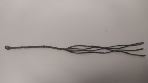 Pukačka kicka na bič